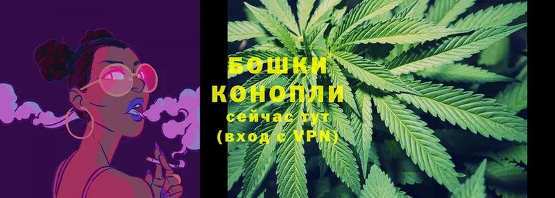 как найти закладки  Новотроицк  Бошки Шишки THC 21% 